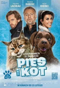 Plakat - Pies i kot